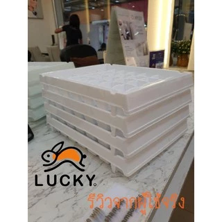 LUCKY HOME ถาดทำน้ำแข็ง 35 ช่อง K-035 ขนาด: ( กว้าง x ยาว x สูง ) 20 x 25.2 x 3.8 cm