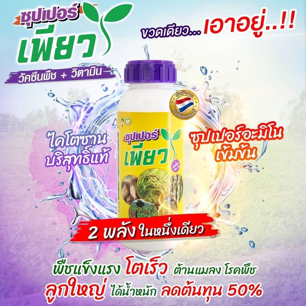 (ส่งฟรี) ซุปเปอร์เพียว ขนาด 500 ซีซี จากเกษตรเพียว 2พลัง ไคโตซาน+อะมิโน ขวดเดียวเอาอยู่ – โปรปัง