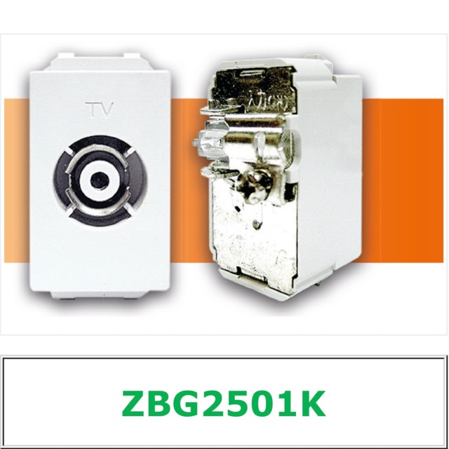 Zeberg เต้ารับโทรทัศน์