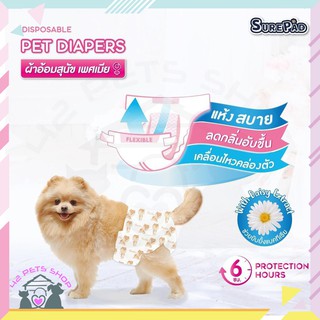 ❣️🐶42Pets🐱❣️SurePad Pet Diapers ผ้าอ้อมสุนัข ฝึกขับถ่าย แพมเพิส ผ้าอ้อมกันฉี่ เหมาะกับสุนัขเพศเมียหรือช่วงมีประจำเดือน ม