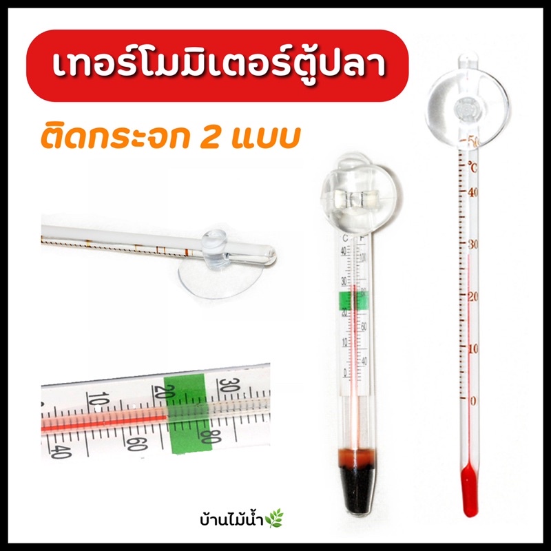 เทอร์โมมิเตอร์ Thermometer ตู้ปลา ตู้ไม้น้ำ เทอร์โมมิเตอร์ติดกระจก | บ้านไม้น้ำ🌿