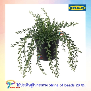 IKEA ไม้ประดิษฐ์ในกระถาง ต้นไม้ปลอม ไม้ประดิษฐ์  String of beads สูง 20 ซม.