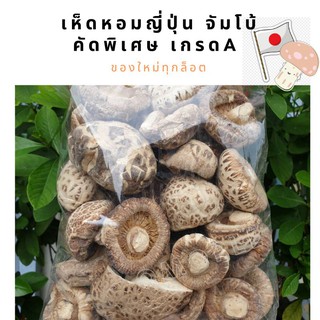 เห็ดหอมญี่ปุ่น จัมโบ้ / กลาง​ / เล็ก คัดพิเศษ เกรด​A​ [Shitake Mushroom] 500 กรัม