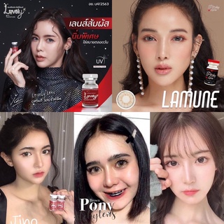 บิ๊กอาย รุ่นพอดีตา ยี่ห้อ Lovely plus ค่าอมน้ำ42% เลนส์นิ่มใสสบาย