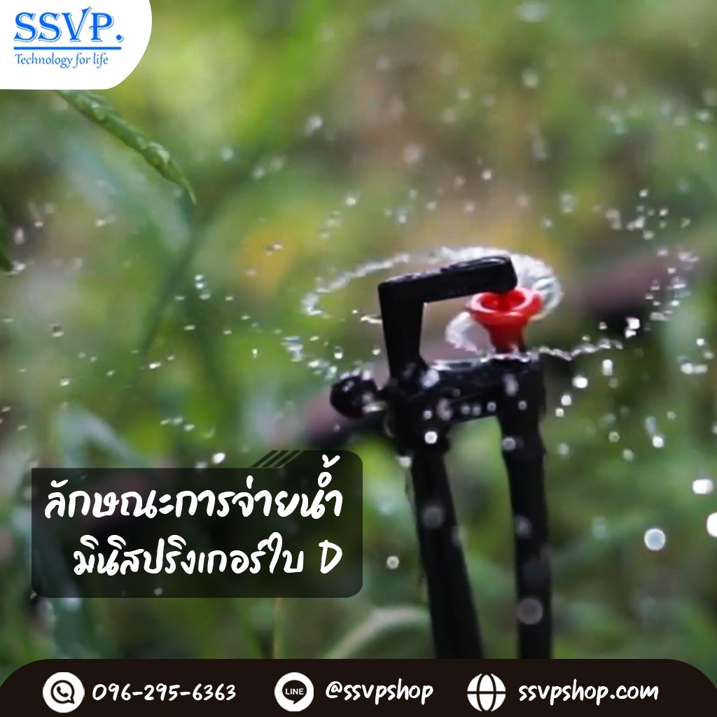 มินิสปริงเกอร์ใบ D เสียบท่อ พร้อมข้อต่อในตัว (น้ำละเอียด) รูปที่ 3