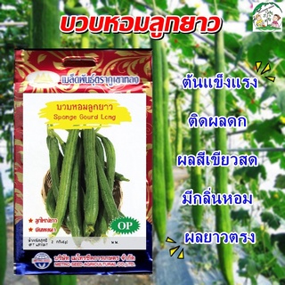 เมล็ดบวบหอมลูกยาว (Sponge Gourd Long) เมล็ดพันธุ์ เมล็ดพันธุ์ผัก เมล็ดพันธุ์พืช ผักสวนครัว ตราภูเขาทอง