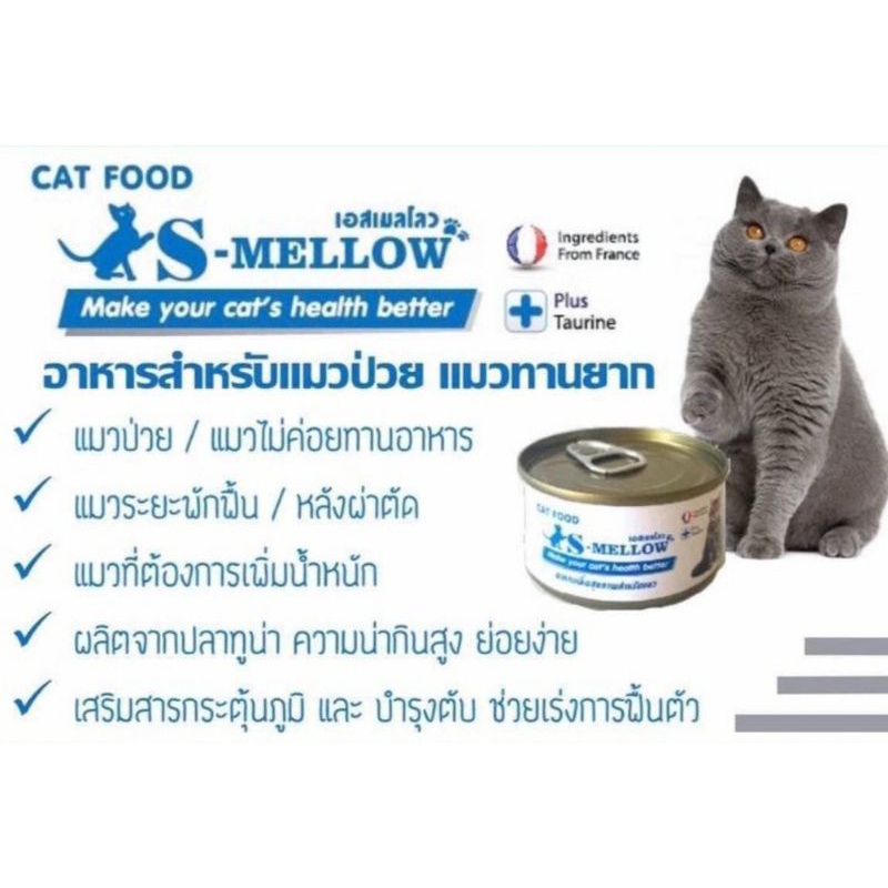 S-MELLOW CAT อาหารสำหรับสัตว์ป่วยที่ช่วยทุกด้าน