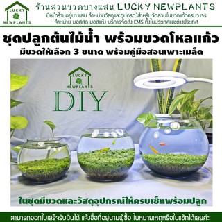 ชุดปลูกไม้น้ำ DIY พร้อมขวดโหลแก้ว มีให้เลือก 3 ไซต์ มีของพร้อมส่ง