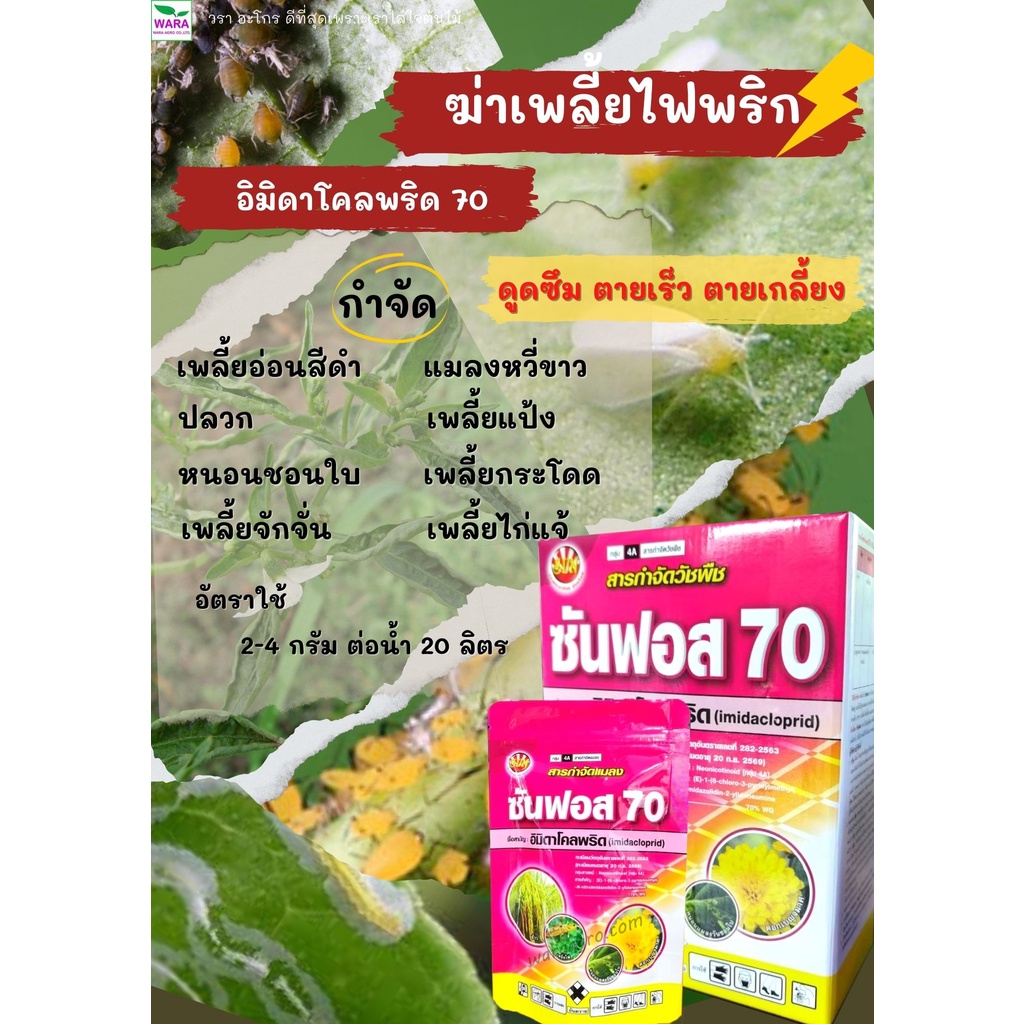 อิมิดาโคลพริด70 ฆ่าเพลี้ยไฟพริก เพลี้ยอ่อนสีดำ แมลงหวี่ขาว ปลวก เพลี้ยแป้ง หนอนชอนใบ เพลี้ยกระโดด เพลี้ยจักจั่น ซันฟอส70