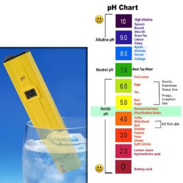 Digital pH Meter Tester 003103