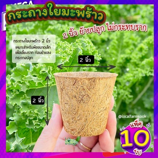 กระถางใยมะพร้าว ( 2 นิ้ว แพ็ค 10 ใบ ) กระถางต้นไม้ กระถางเพาะชํา ระบายอากาศได้ดี รากเดินดี กระถางลดโลกร้อน ย่อยสลายได้ตา