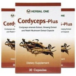 Herbal One Cordyceps-Plus อ้วยอัน ตังถั่งเฉ้า พลัส 30 แคปซูล x3 กล่อง ลดอาการอ่อนเพลีย ทำให้ร่างกายสดชื่น บำรุงร่างกาย