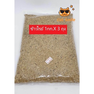 อาหารนกแก้ว ข้าวไรย์ เม็ดสวย สะอาด ไร้มอดแบ่งขาย 1 กก. X3 ถุุง