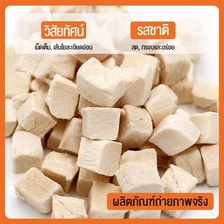 petsecret CATSTER PLAY ขนมแมว Freeze Dried และท็อปปิ้ง ชิ้นเนื้อแท้ๆ 100% ขนาด 40 กรัม