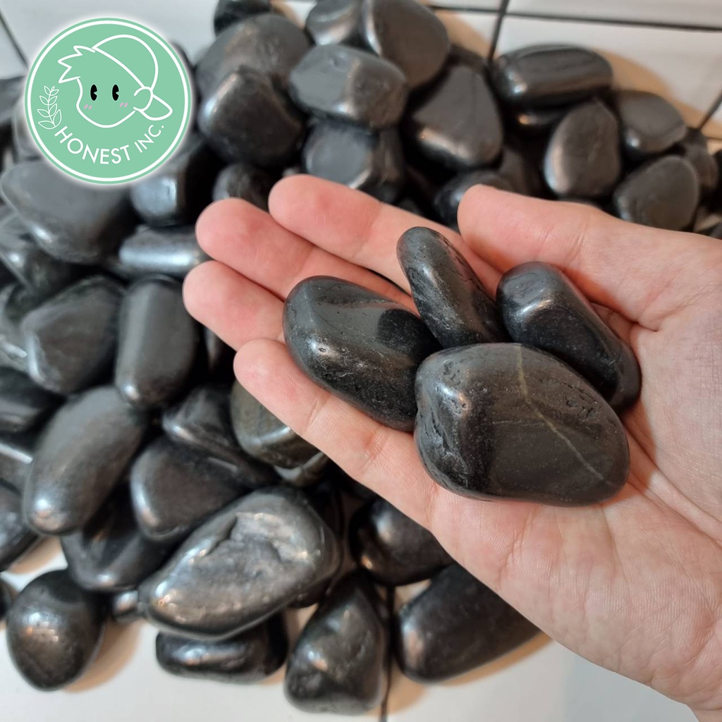 (500g 1 kg) หินสีดำ หินตกแต่งตู้ปลา Aquarium Black Rocks ก้อนกลมมน