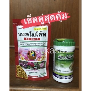 ออสโมโค้ท 100 กรัม+สตาร์เกิ้ลจี 250 กรัม ปุ๋ยละลายช้านาน 3 เดือน และสารป้องกันแมลงชนิดดูดซึม