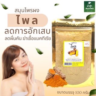 ผงไพล 100 กรัม 100% ผิวกระจ่างใส ลดเลือนริ้วรอย ทำสบู่ สมุนไพร ขัดผิว สครับ ไพลผง พอกผิวสวย บริสุทธิ์ พร้อมส่ง