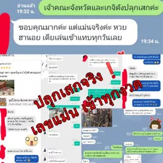 💥ส่งด่วน❗ธูปไอ้ไข่ถูกที่สุด/พญานาค ธูปท้าวเวสสุวรรณ วัดจุฬามณีของแท้ จีน ธูปหวย ธูปใบ้หวยธูปตัวเลข ธูปตาไข่ ธูปสีแดง ธูป