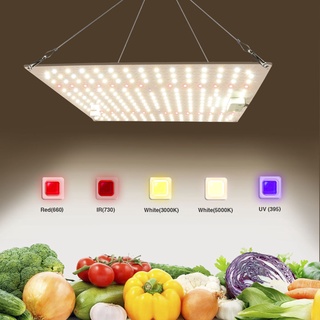 โคมไฟ LED 85W Samsung สเปกตรัมเต็มรูปแบบ สําหรับปลูกพืชในร่ม ปลูกดอกไม้ ผัก เมล็ดพันธุ์