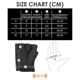 📌amfit |รุ่นเบสิค] ถุงมือฟิตเนส S-XL กันมือด้าน ใช้ออกกำลังกาย ยกเวท เวทเทรนนิ่ง ถุงมือออกกำลังกาย