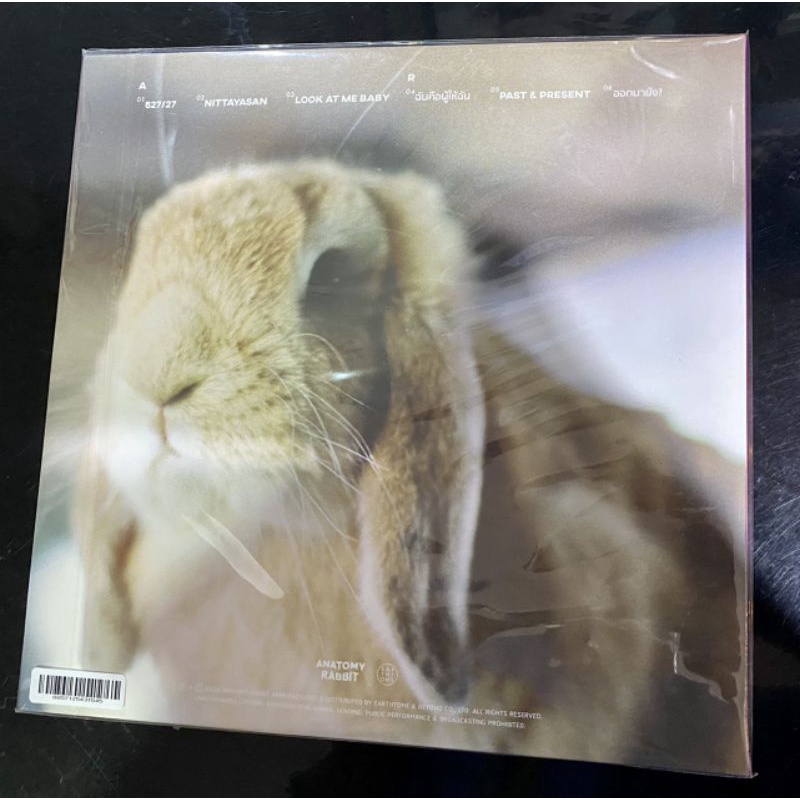 แผ่นเสียง Anatomy rabbit อัลบั้ม Hootok (หูตก)