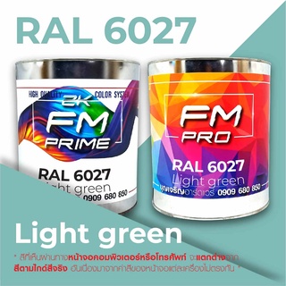 สี RAL6027 Light green