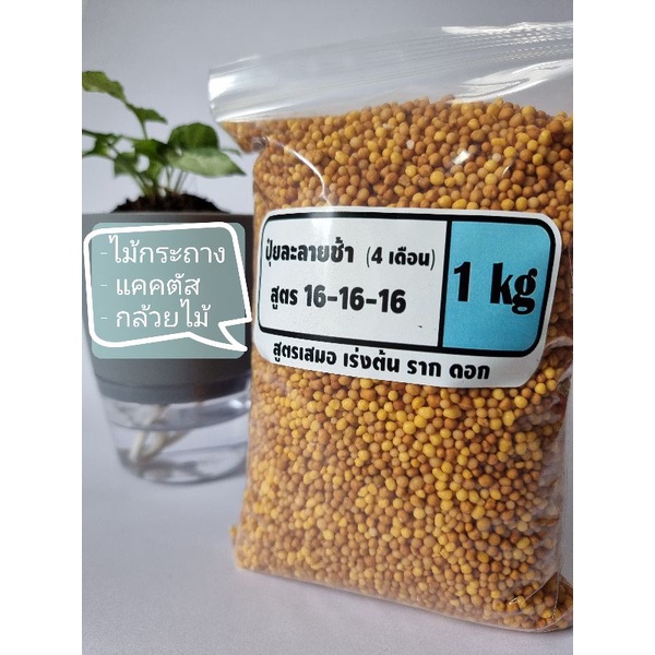 【สินค้าขายดี】🔥ปุ๋ยละลายช้า🔥มัลติเทค1ก.ก.แบ่งขายสูตร16-16-16 4เดือน