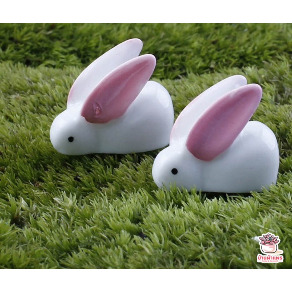 กระต่ายหูบิน [ เซต 5 ชิ้น ] ตุ๊กตาจิ๋ว โมเดลจิ๋ว แต่งสวน - รูปที่ 2