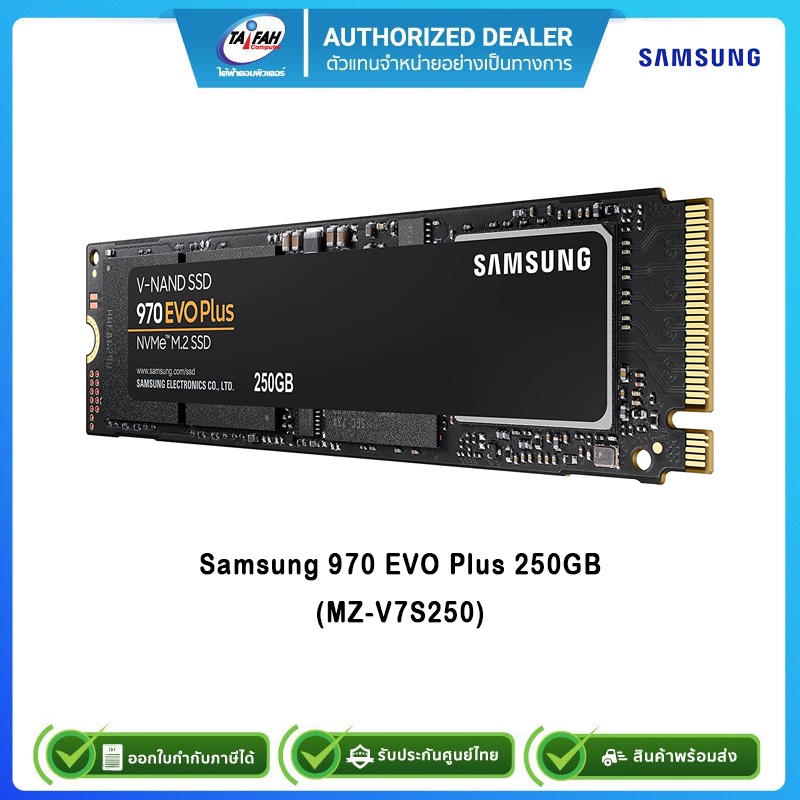 SSD 250GB (เอสเอสดี) SAMSUNG 970 EVO PLUS PCIe/NVMe M.2 2280 (MZ-V7S250)