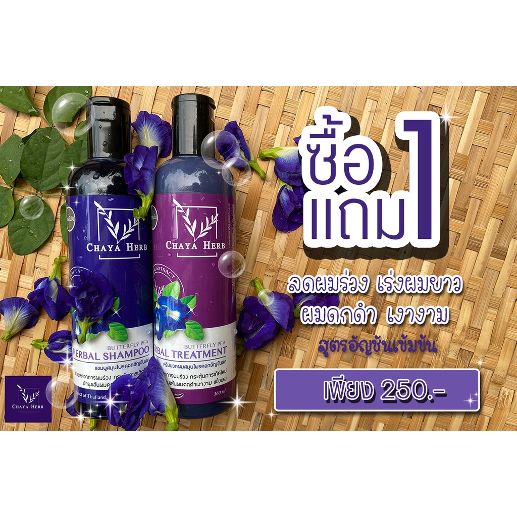 โปร🔥ซื้อ​ 1 แถม 1🔥 แชมพูสมุนไพรChaya herb สกัดจากอัญชันช่วยลดผมร่วง เร่งผมยาว ผมดกดำ เงางาม​ ขวดละ36