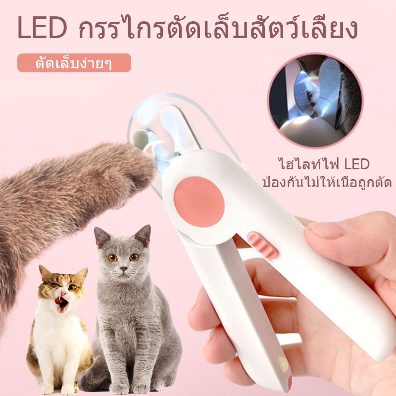 BHQ😻พร้อมส่ง🐶 Pet Nail Clippers กรรไกรตัดเล็บแมว กรรไกรตัดเล็บสุนัข พร้อมไฟLED พร้อมตะไบเหล็กเก็บซ่อน ป้องกันเลือดออก