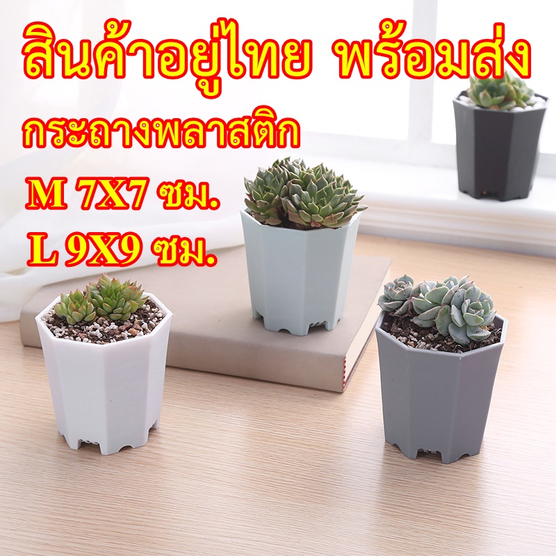 กระถางพลาสติก 2.5 และ 3.5 นิ้ว ทรง 8 เหลี่ยม สำหรับแคคตัส สำหรับกระบองเพชร สำหรับต้นไม้