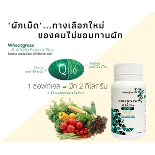 ผักเม็ดเสริมภูมิ Wheatgrass & Alfalfa Extract Plus Q10