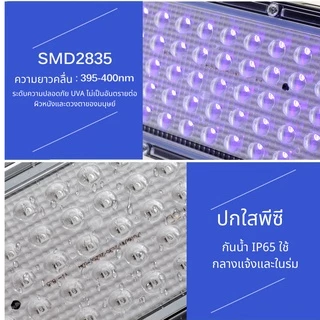 UV DJ disco light หลอดไฟ UV ไฟปลูกต้นไม้ 50W 100W 300W 395NM กันน้ำ สปอร์ตไลท์ LED Grow Light พร้อมสวิตช์เปิด/ปิด