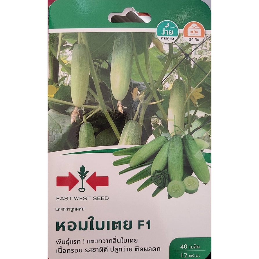 เมล็ดพันธุ์ แตงกวา หอมใบเตย พันธุ์แรก แตงกวากลิ่นใบเตย เนื้อกรอบ รสชาติดี ติดผลดกบรรจุประมาณ40เมล็ด