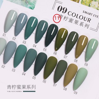 สีเจลยกเซตโทนเทา-เขียว 9 สี AI LA NUO