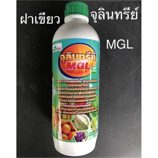 จุลินทรีย์MGL อาหารพืชชีวภาพทางใบ ฝาเขียว 1L