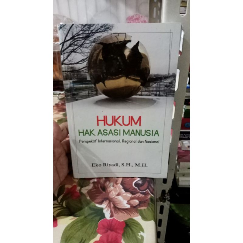 HUMAN RIGHTS LAW****