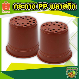 กระถางดอกไม้ กระถางขนาด 6 นิ้ว กระถางต้นไม้ผลิตจากพลาสติกPP มีความทนทานสูง คืนรูปได้แม้ถูกกดทับ อายุการใช้งานมากกว่า3ปี