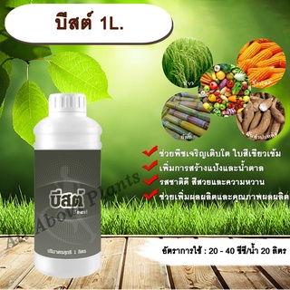 บีสต์1L. ธาตุอาหารรอง ธาตุอาหารเสริม เหล็ก กำมะถัน เร่งโตใบเขียวเข้มสร้างแป้ง น้ำตาล เร่งหวาน พืชขาดธาตุเหล็กแก้ใบเหลือง