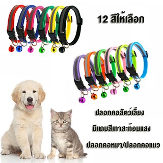 ปลอกคอสัตว์เลี้ยง ปลอกคอสะท้อนแสง ปลอกคอหมา/ปลอกคอแมว มีสีเทาสะท้อนแสง Cat/Dog collar มีแถบสีเทาสะท้อนแสง ปลอกคอนิรภัย