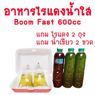 [[ มือใหม่ทำได้แน่นอน!!!]] อาหารไรแดงน้ำใส BooM Fast ขนาด 600 ml ทำง่ายๆๆไม่ต้องทำน้ำเขียว!!