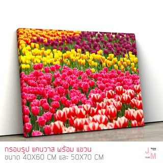 กรอบรูป ภาพแต่งบ้าน รูปติดผนัง ภาพทุ่งดอกทิวลิป