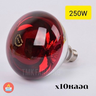 [50หลอด]หลอดไฟอินฟาเรด กกสัตว์เลี้ยง 250วัตต์ E27 หลอดไฟให้ความอบอุ่น infrared bulb 250