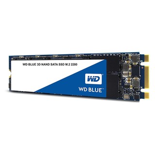 1 TB SSD (เอสเอสดี) WD BLUE SATA M.2 2280 (WDS100T2B0B) 3D