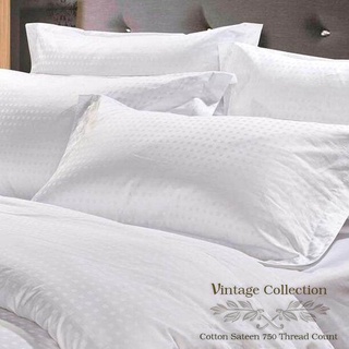 SP Luxury  ปลอกหมอน Cotton 100%  สีขาว รุ่น Vintage Collection