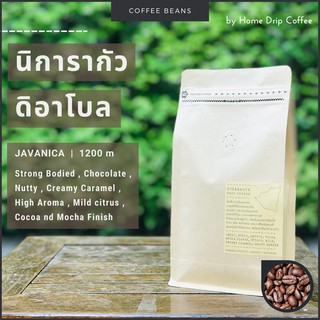 เมล็ดกาแฟคั่ว นิการากัว | Single Origin | Diablo | เมล็ดใหญ่สุดในร้าน โกโก้เด่นนำ เนื้อแน่นตาม หอมแบบชอคโก ไม่ติดเบอรี่