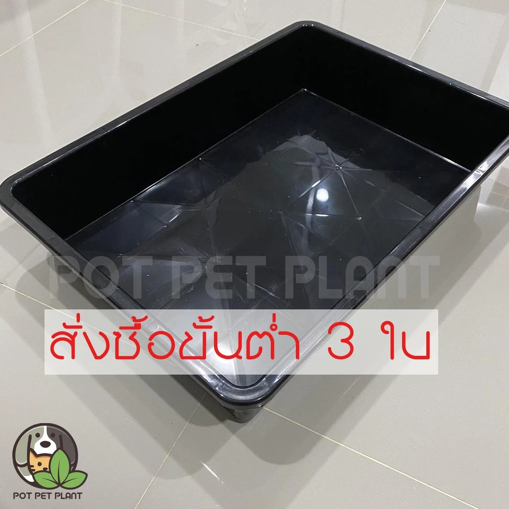 ถาดเพาะต้นอ่อน ถาดปลูกแคคตัส แบบทึบ 0257 thumbnail 4