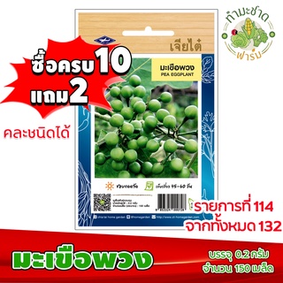 (ซื้อ10แถม2) เมล็ดพันธุ์ มะเขือพวง Pea Eggplant ประมาณ 150เมล็ด เจียไต๋ เมล็ดพันธุ์พืช เมล็ดพันธุ์ผัก เมล็ดผัก เม็ดผัก