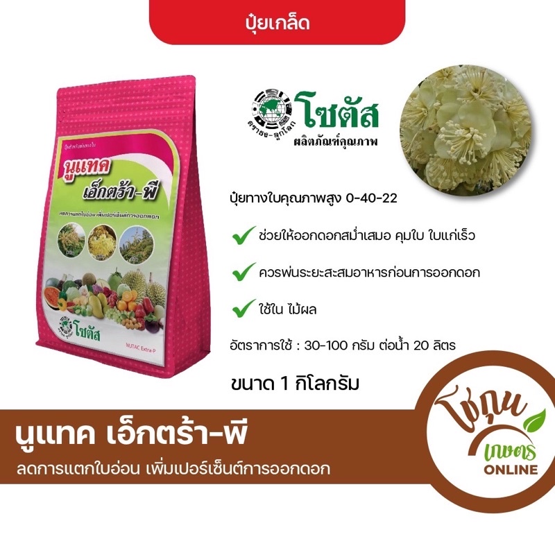 นูแทค เอ็กตร้าพี สูตร0-40-22 ขนาด 1 กิโลกรัม โซตัส ปุ๋ยเกล็ด สำหรับพ่นทางใบ ยับยั้งใบอ่อน สร้างตาดอก